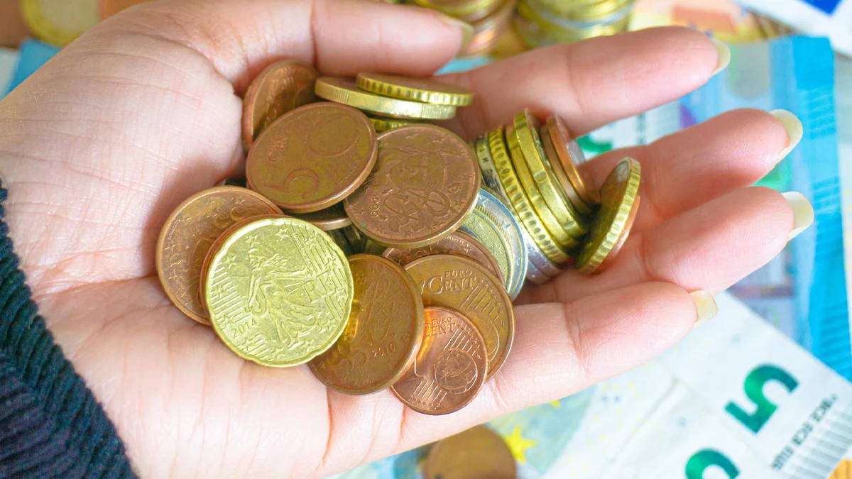 Експерти напомниха, че всички емисии и национални монети са валидни