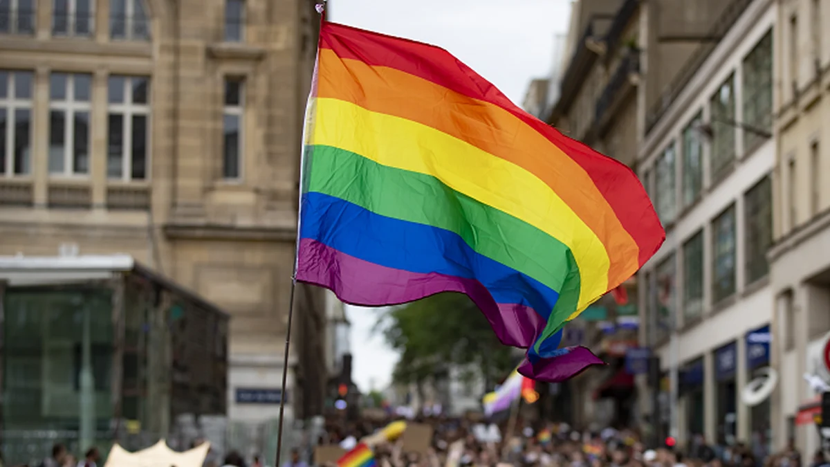 Забраната за пропаганда в училище изостри конфронтацията, вместо да реши