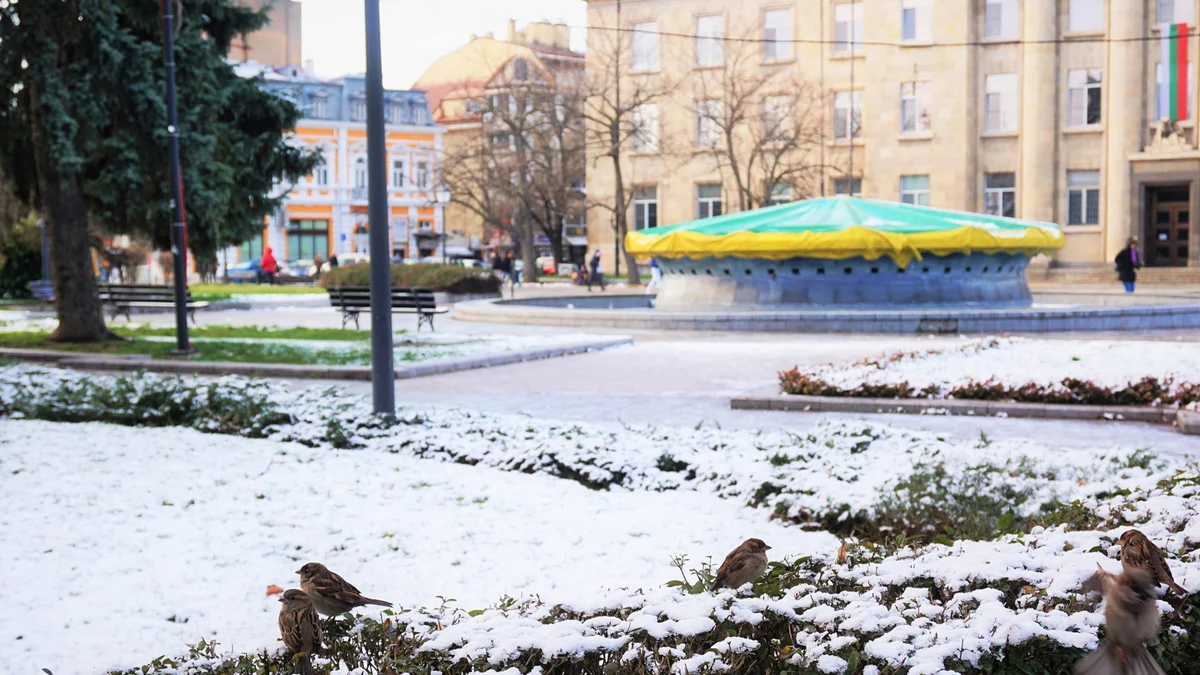 Най-много са дамите с името Антоанета – 332Общо 1587 жители