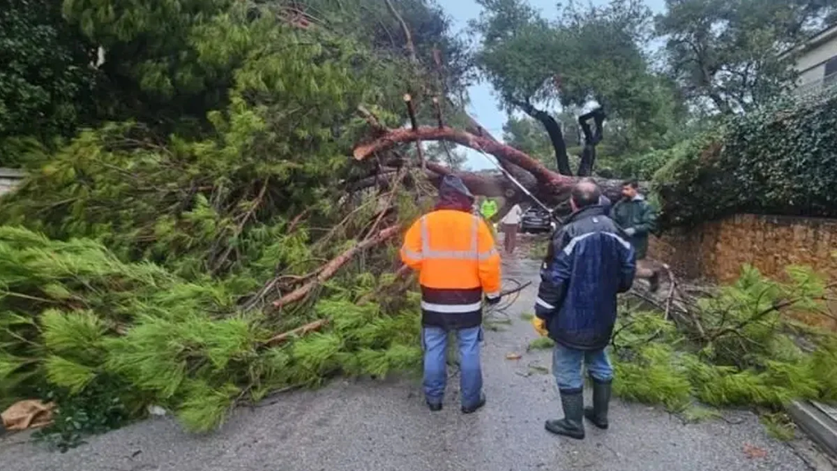 Властите въвеждат драконовски мерки и призовават да не се пътува