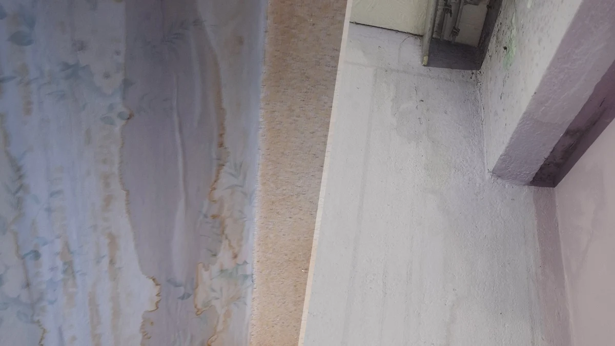 Санирането на блок Ела“ удави надеждите на русенциНационалната програма за