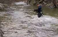 Огнеборци извадиха ловно куче от капан в река Широколъшка