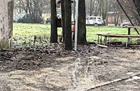 Община Русе игнорира сигнали за инвалидни паркоместа в калта