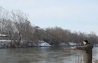 Рибар в Русенско: Зимата може да се хване по 20 килограма на ден, което не е желателно