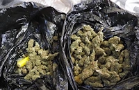 Разбиха наркосхема при спецакция в центъра на Русе