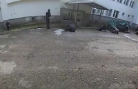 Властите показаха нови кадри по случая "Петрохан"