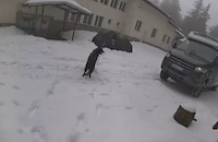 На "Петрохан" е имало дронове, кемпери и мотори за поне 200 хиляди евро