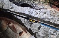 Заловиха четирима бракониери край Мартен и Бръшлен