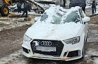 Дърво потроши пет коли в Пловдив след общинско бездействие