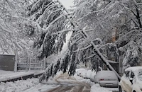 Сняг събори масивни дървета върху паркирани автомобили в Русе