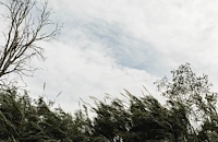 Силен вятър ще донесе студ въпреки слънцето в четвъртък