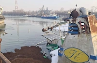 Няма опасност за Русе след разлива край Гюргево