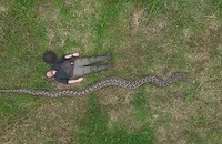 Румънец откри най-дългата дива змия в света