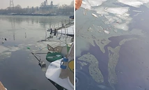 Нефтен разлив замърси Дунав край Гюргево след потънала баржа