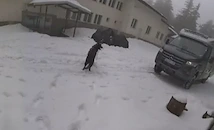 На "Петрохан" е имало дронове, кемпери и мотори за поне 200 хиляди евро