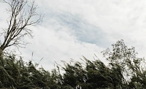 Силен вятър ще донесе студ въпреки слънцето в четвъртък