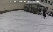 Засякоха непознат глас на ключов запис от Петрохан