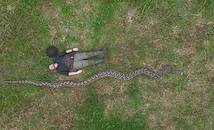 Румънец откри най-дългата дива змия в света