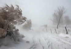 Държавата отново е изправена пред тест за зимното почистванеНационалният институт