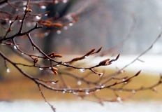 Сутрешни студове до минус 8 градуса и валежи в планинитеВремето