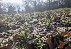 Максималните температури в Русе обаче ще достигнат едва 6 градусаСлед