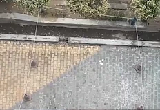 Децата написали осем страници предсмъртно писмо преди фаталния скок в