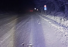 Сняг затвори два пъти пътя Русе – Бяла през нощта
