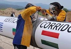 Скала удари 57 годишния мъж по главатаСвлачище взе първата си