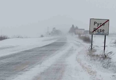 Очаква се снежна покривка до 10 см и силни навяванияМощен