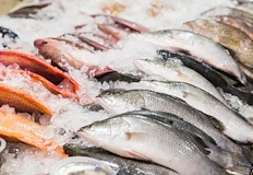 Глобалният сектор за 195 милиарда долара е пропит от фалшификации