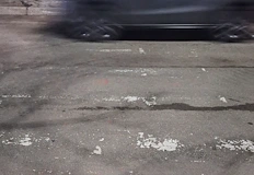 Десетки сигнали за изсъхнали дървета и липсваща маркировка остават без