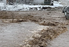 Пътят към Албена е блокиран дървета затиснаха автомобилиРека Батовска излезе