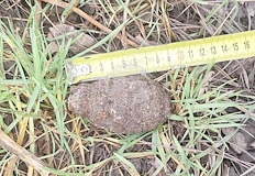 Боеприпасът е открит в гараж и транспортиран до Военноморската базаСпециализиран