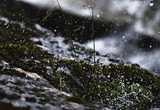 Повишава се рискът от наводнения и разливи по рекитеСедмицата на