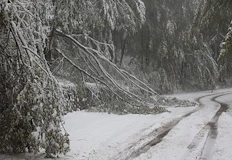 Оранжев код за снеговалежи налага ограничения в планинските проходиРепубликанските пътища