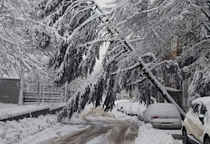 Собственикът на автомобила все още не знае за инцидента докато