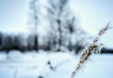 Термометрите падат до минус 6 градуса след топъл уикендПредстоящите почивни