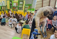 Малчугани събират монети за Кастрационния център в РусеДеца от трета