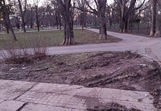 Въпреки наличието на камери шофьори газят тревните площи безнаказаноПаркът на