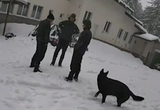 Случаят повдига въпроси въпреки неоспоримите доказателства от аутопсиятаКървавата трагедия с