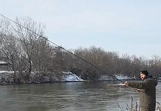 Заради студа рибите се групират и стават лесна плячкаМинусовите температури