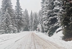Снеговалеж блокира Пампорово закъсаха туристи и снегоринОбилен снеговалеж блокира достъпа