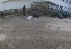 Твърденията на органите на реда обаче се различават от датите