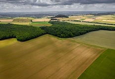 Министерството на земеделието запълва бюджетни дупки с търгове в стопански
