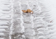 Жълт код за опасно време в почти цялата страна днесЕкстремно
