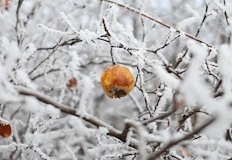 Валежите спират навсякъде облачността се разкъсва след обядПрез нощта срещу