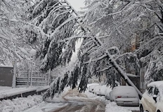 Липсата на санитарна сеч превърна улиците в капан за шофьоритеПромяната