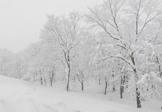 Температурна аномалия от 20 градуса разделя страната на двеБългария ще