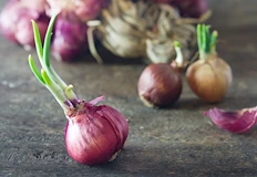 Процесът променя вкуса но запазва хранителните качестваМного домакинства правят една