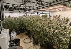 Задържаха двама мъже с чисто съдебно минало при спецакция на